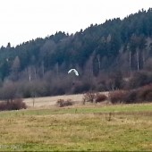 Kudowa-Czermna Fly, Jeden pechowiec, za to zawisł pięknie rozłożony.