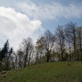 Bieliki nad Jodłownikiem, Dzisiaj na starcie.
