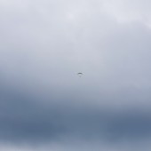 Andrzejówka - Klin Paragliding Fly