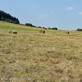 Dzikowiec Paragliding Fly, Kopalnia Grzędy - to mnie zaniosło.