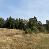 Mieroszów paragliding, Latanie w silnym wietrze, na żaglu i zafalowaniu ... trochę już zapomniałem jak to jest.