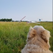 Towarzystwo Lotnicze Świebodzice kurs podstawowy 2018 dzień 5, Luna na kwadracie ;) Słońce coraz wyżej i coraz więcej termiki.
